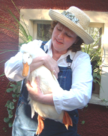 Picture of Storyteller JoAnne Lower